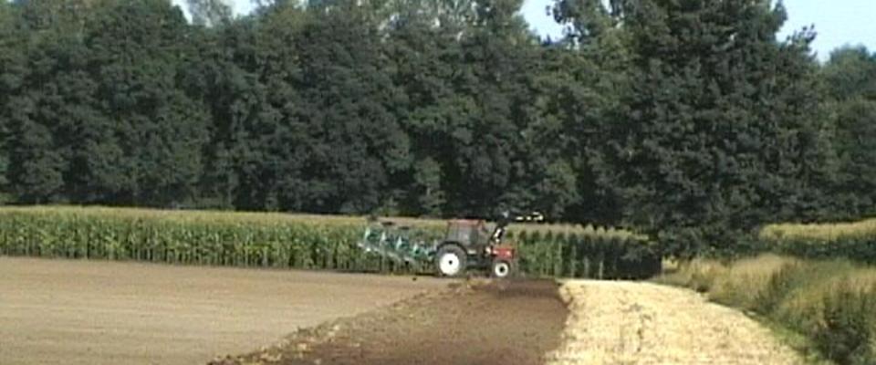 Das Bild zeigt einen Traktor mit Pflug im Arbeitseinsatz auf dem Feld.