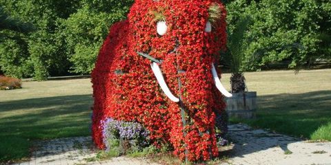 Ein Elefant aus bunten Blumen im Kurpark Hamm.