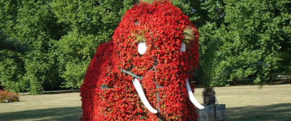 Ein Elefant aus bunten Blumen im Kurpark Hamm.