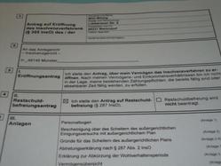 Muster eines Verbraucherinsolvenzantrags an das Amtsgericht Münster - Insolvenzgericht -