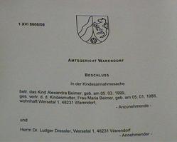 Muster des Adoptionsbeschlusses Muster des Adoptionsbeschlusses