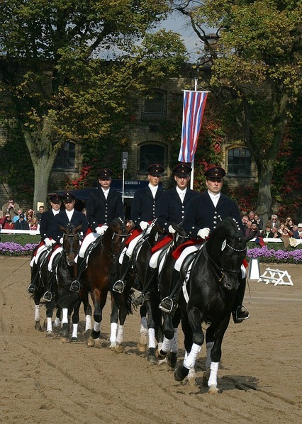 Warendorfer Hengstparade